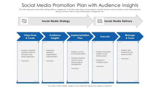 Social Media Promotion Plan With Audience Insights Ppt Infographic Template Smartart PDF