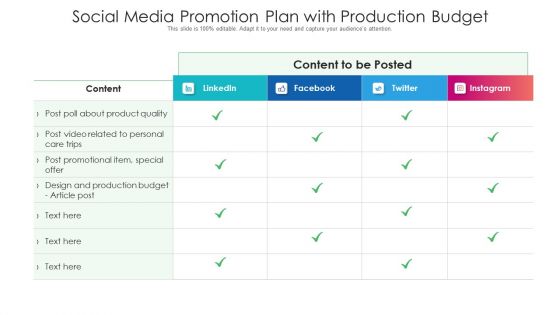 Social Media Promotion Plan With Production Budget Ppt PowerPoint Presentation Model Files PDF