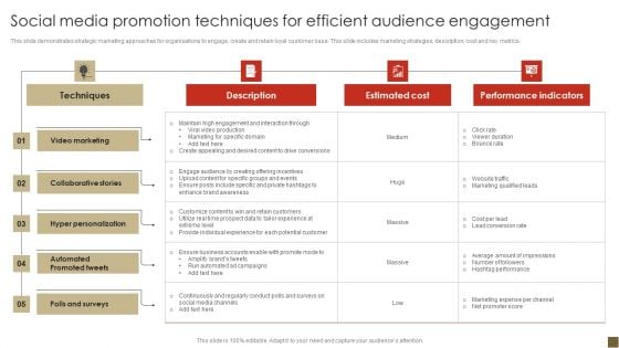 Social Media Promotion Techniques For Efficient Audience Engagement Information PDF