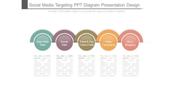 Social Media Targeting Ppt Diagram Presentation Design