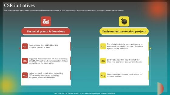 Social Network Business Summary CSR Initiatives Portrait PDF