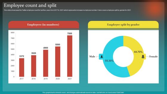 Social Network Business Summary Employee Count And Split Download PDF