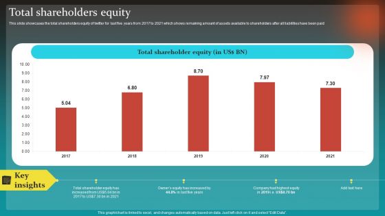 Social Network Business Summary Total Shareholders Equity Infographics PDF