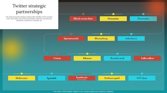 Social Network Business Summary Twitter Strategic Partnerships Pictures PDF Social Network Business Summary Twitter Strategic Partnerships Pictures PDF