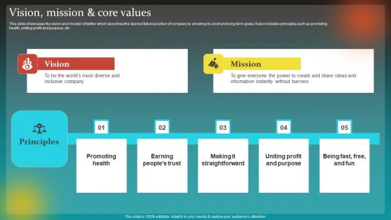 Social Network Business Summary Vision Mission And Core Values Designs PDF