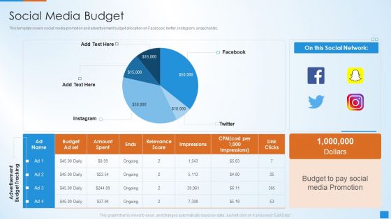 Social Network Strategy Pitch Deck Social Media Budget Download PDF