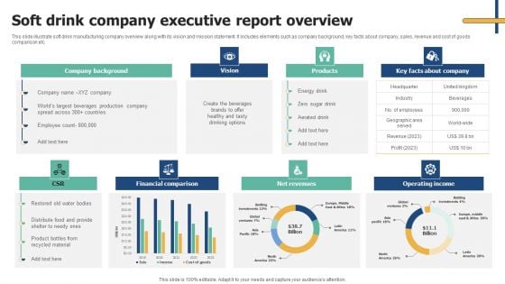 Soft Drink Company Executive Report Overview Icons PDF