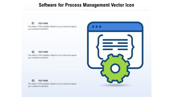 Software For Process Management Vector Icon Ppt PowerPoint Presentation Styles Layout PDF