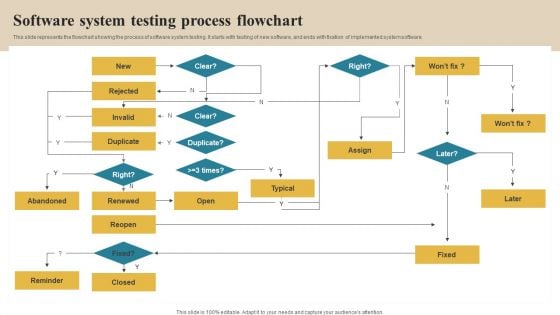 Software Implementation Technique Software System Testing Process Flowchart Professional PDF