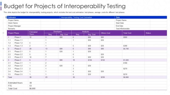 Software Interoperability Examination IT Budget For Projects Portrait PDF