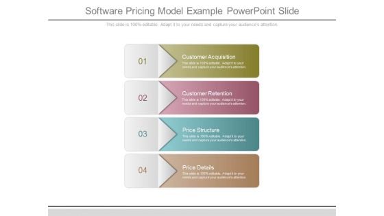 Software Pricing Model Example Powerpoint Slide