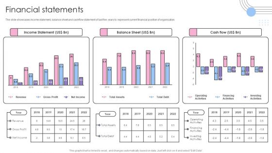 Software Products And Solutions Firm Details Financial Statements Professional PDF