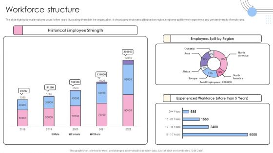 Software Products And Solutions Firm Details Workforce Structure Sample Background PDF