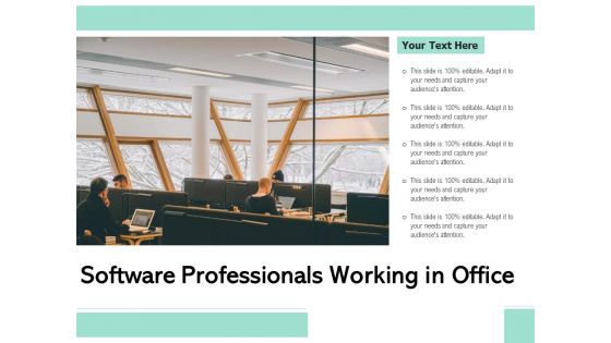 Software Professionals Working In Office Ppt PowerPoint Presentation Summary Aids PDF