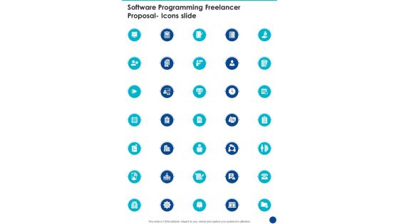 Software Programming Freelancer Proposal Icons Slide One Pager Sample Example Document