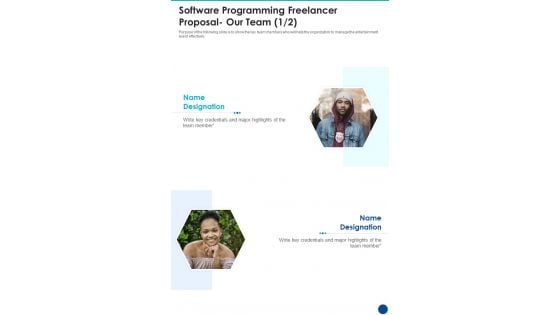 Software Programming Freelancer Proposal Our Team One Pager Sample Example Document