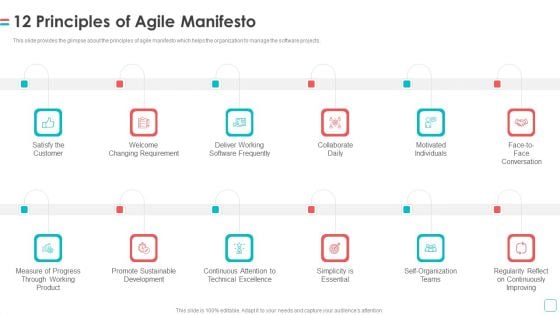 Software Publication 12 Principles Of Agile Manifesto Ppt Summary Skills PDF