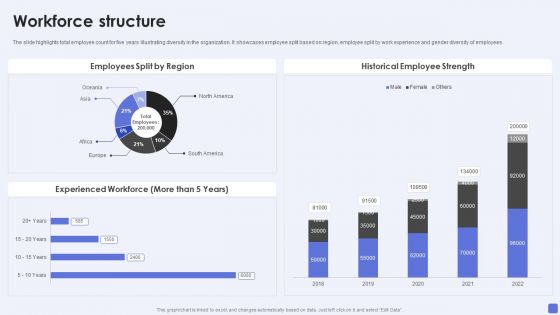 Software Services Business Profile Workforce Structure Ppt PowerPoint Presentation Gallery Good PDF