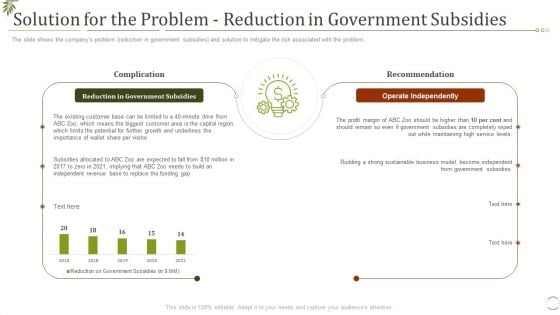 Solution For The Problem Reduction In Government Subsidies Ppt Outline Professional PDF