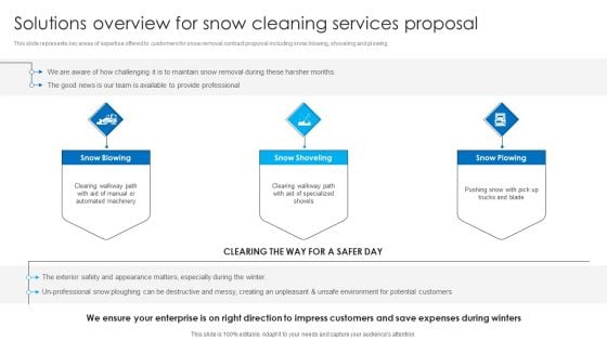 Solutions Overview For Snow Cleaning Services Proposal Ppt Layouts Structure PDF