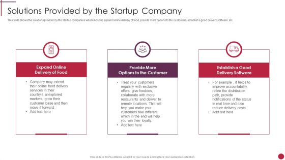 Solutions Provided By The Startup Company Start Up Master Plan Professional PDF