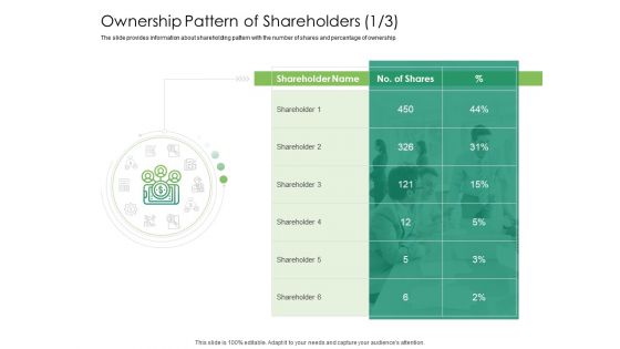 Solvency Action Plan For Private Organization Ownership Pattern Of Shareholders About Microsoft PDF