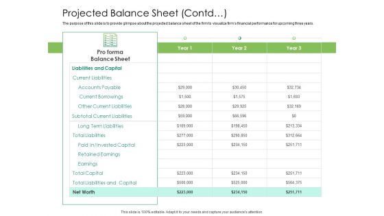 Solvency Action Plan For Private Organization Projected Balance Sheet Contd Graphics PDF