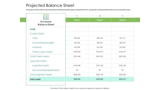 Solvency Action Plan For Private Organization Projected Balance Sheet Information PDF