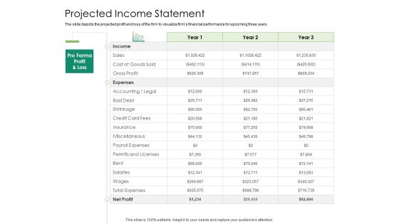 Solvency Action Plan For Private Organization Projected Income Statement Topics PDF