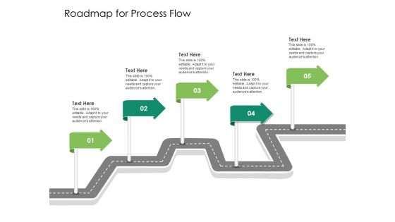 Solvency Action Plan For Private Organization Roadmap For Process Flow Slides PDF Solvency Action Plan For Private Organization Roadmap For Process Flow Slides PDF
