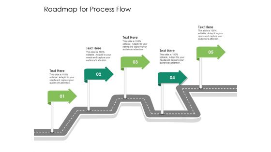 Solvency Action Plan For Private Organization Roadmap For Process Flow Slides PDF