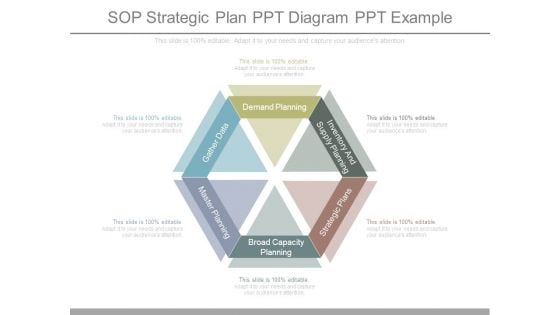 Sop Strategic Plan Ppt Diagram Ppt Example