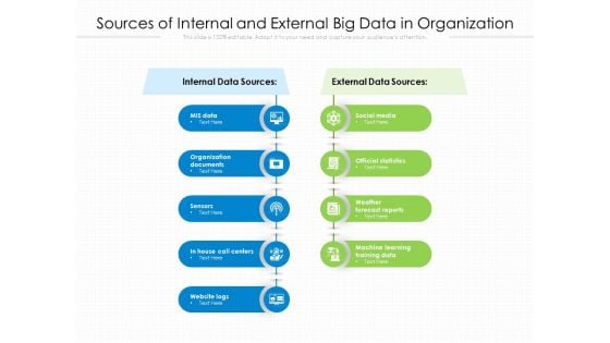 Sources Of Internal And External Big Data In Organization Ppt PowerPoint Presentation Gallery Background Image PDF