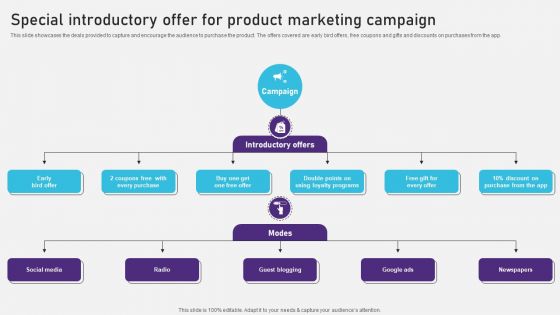 Special Introductory Offer For Product Marketing Campaign Template PDF