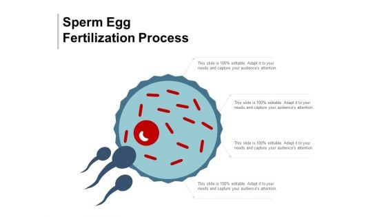 Sperm Egg Fertilization Process Ppt Powerpoint Presentation File Clipart