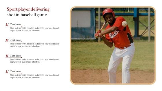 Sport Player Delivering Shot In Baseball Game Information PDF