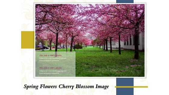 Spring Flowers Cherry Blossom Image Ppt PowerPoint Presentation Portfolio Templates PDF