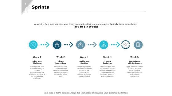 Sprints Planning Strategy Ppt PowerPoint Presentation Portfolio Slide Portrait