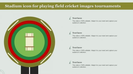 Stadium Icon For Playing Field Cricket Images Tournaments Slides PDF