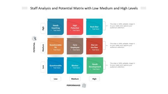 Staff Analysis And Potential Matrix With Low Medium And High Levels Ppt PowerPoint Presentation Icon Styles PDF