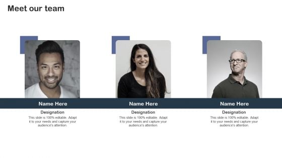 Staff Succession Planning And Development Strategy Meet Our Team Professional PDF Staff Succession Planning And Development Strategy Meet Our Team Professional PDF