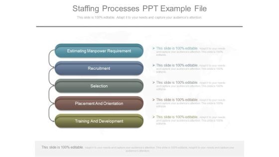 Staffing Processes Ppt Example File