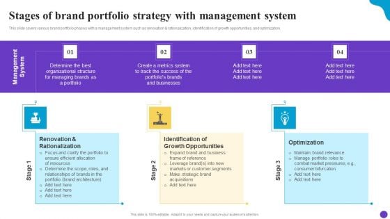 Stages Of Brand Portfolio Strategy With Management System Brand Profile Strategy Guide To Expand Icons PDF