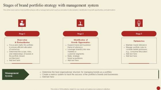 Stages Of Brand Portfolio Strategy With Management System Themes PDF