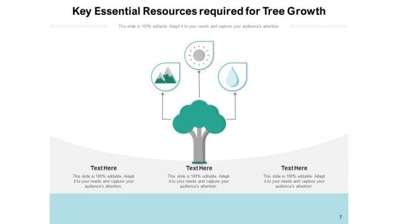 Stages Of Growing Tree Growth Resources Ppt PowerPoint Presentation Complete Deck