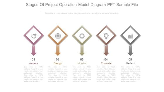 Stages Of Project Operation Model Diagram Ppt Sample File