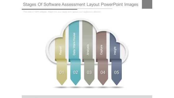 Stages Of Software Assessment Layout Powerpoint Images