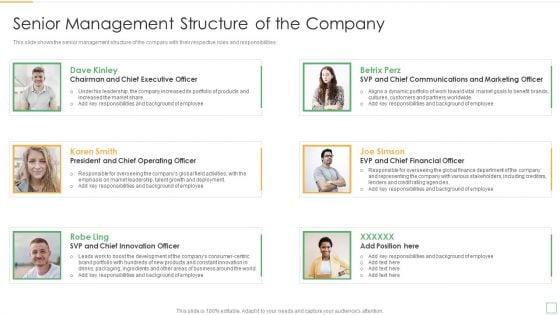 Stakeholder Management Assessment Business Fundamentals Senior Management Structure Professional PDF