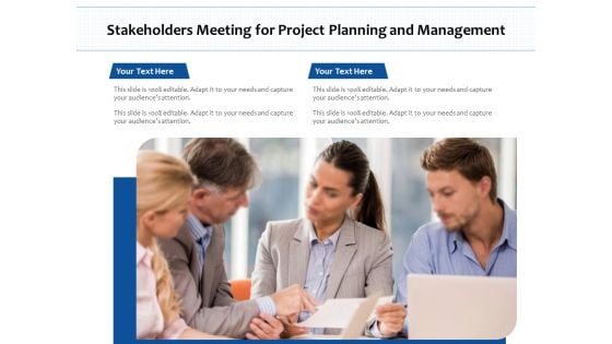 Stakeholders Meeting For Project Planning And Management Ppt PowerPoint Presentation Summary Graphic Images PDF