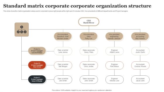 Standard Matrix Corporate Corporate Organization Structure Sample PDF